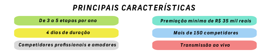 principais caracteristicas